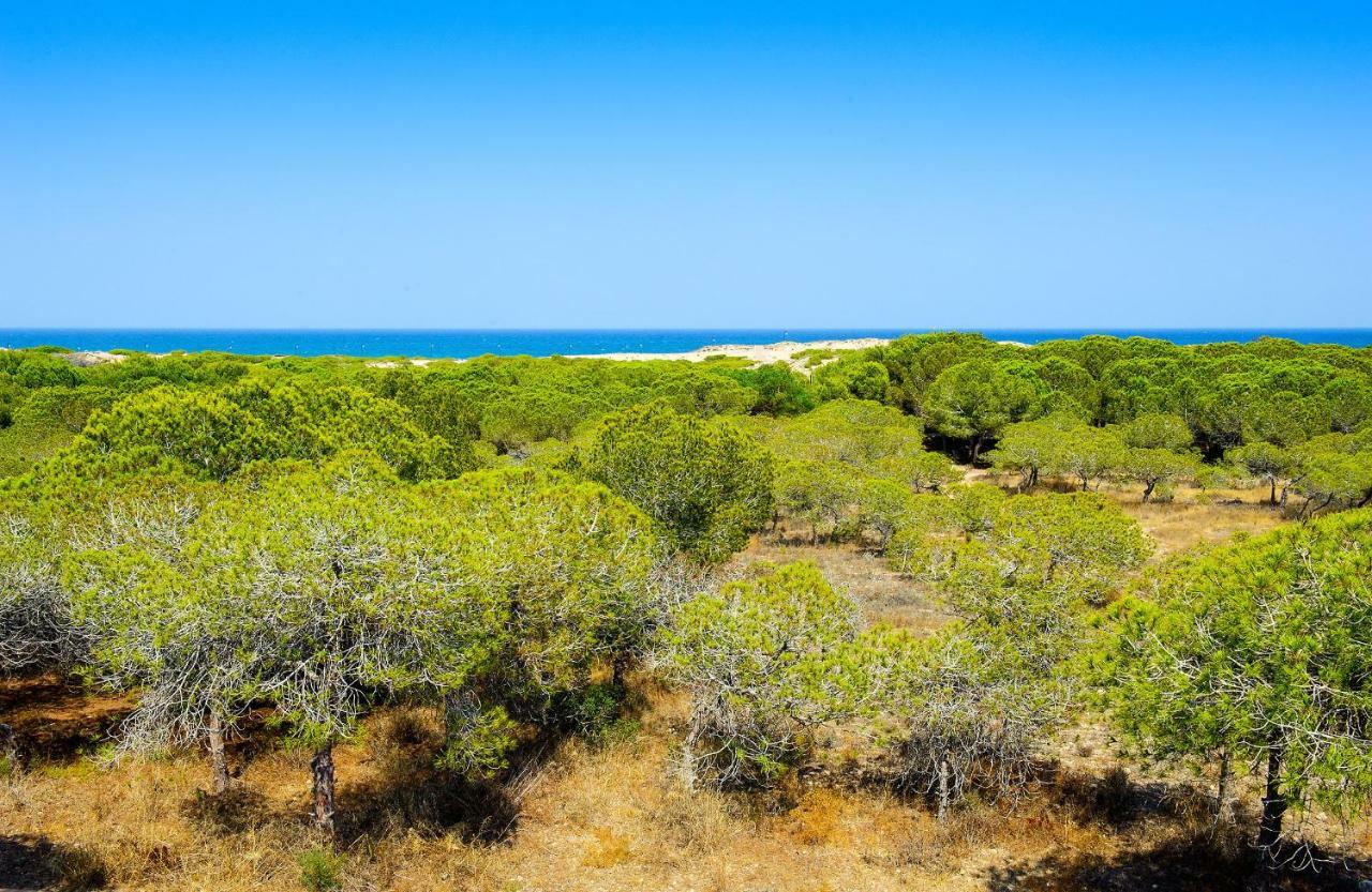 Luxury Pinada Beach La Mata  Luaran gambar